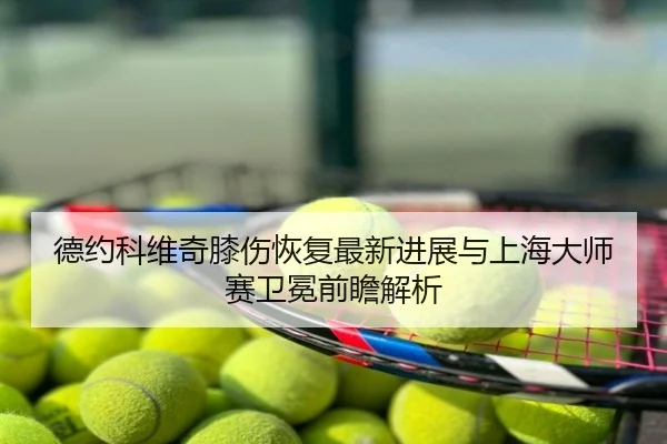 德约科维奇膝伤恢复最新进展与上海大师赛卫冕前瞻解析